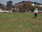 PA291181.jpg