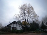 IMGP3282.JPG