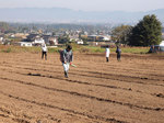 PA291165.jpg